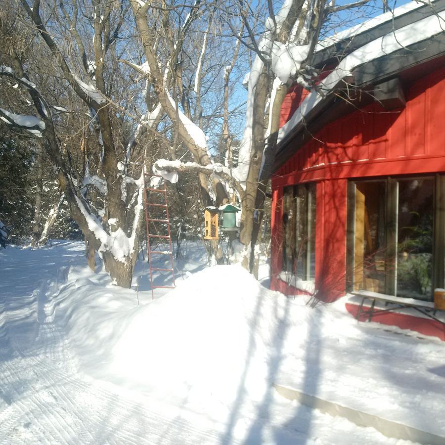 Hôtel The Retreat House Blue Mountain à Blue Mountains Extérieur photo