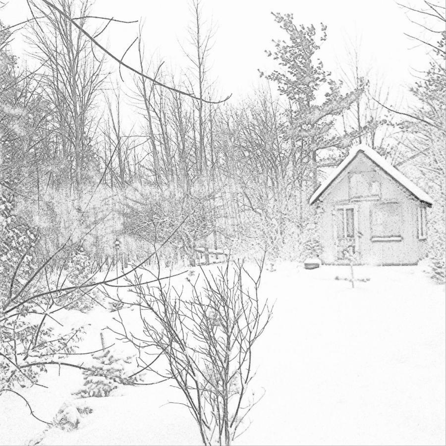 Hôtel The Retreat House Blue Mountain à Blue Mountains Extérieur photo